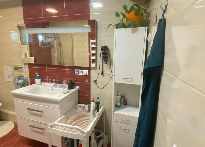 Homestay U Hanky Zdiby